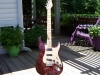 James O'Neal - James' swamp ash strat 1