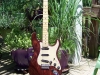 James O'Neal - James' swamp ash strat 2