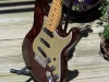 James O'Neal - James' swamp ash strat 4