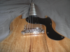 Black-Limba-SGjr-Guitar- 085