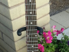 sgjr1