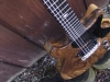 DSCF3877_bearb