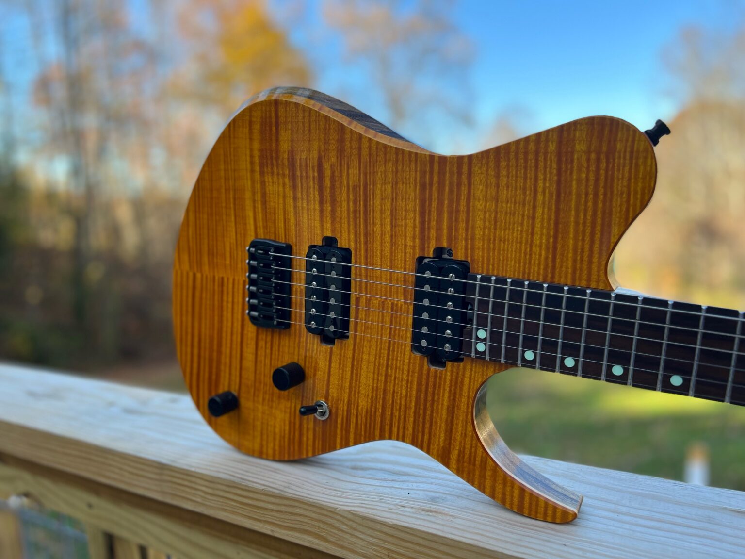 Customer Builds Precision Guitar Kits